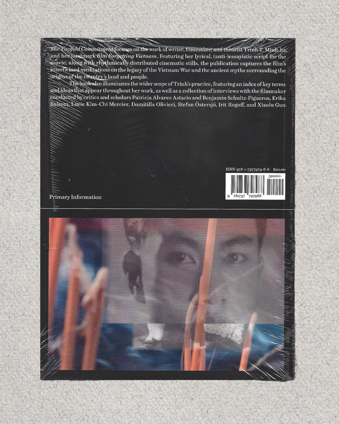 The Twofold Commitment by Trinh T. Minh-ha